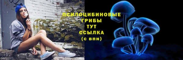 бутират Белокуриха