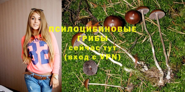 бутират Белокуриха