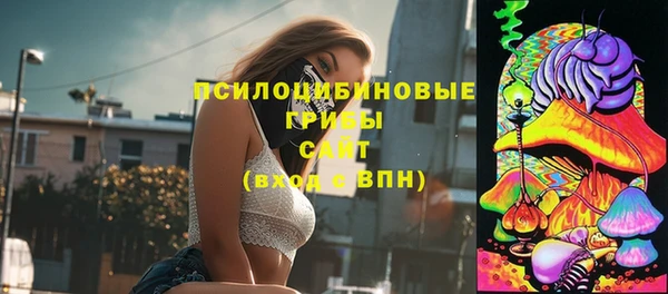 бутират Белокуриха